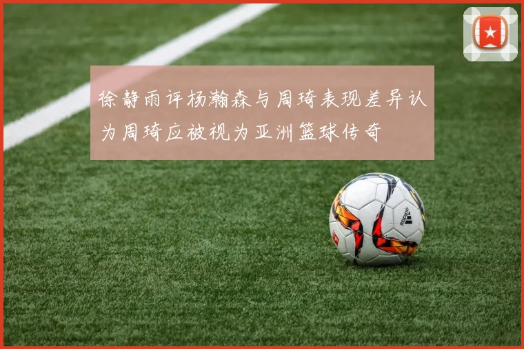 徐静雨评杨瀚森与周琦表现差异认为周琦应被视为亚洲篮球传奇